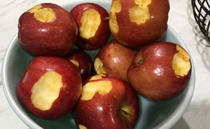 40 Familiares exasperantes que te harán apreciar más a los tuyos