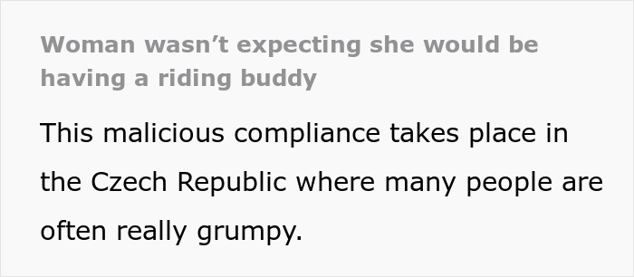 Woman Thinks She&rsquo;s Entitled To Cut In Line Then Demand Things Be Moved From The Overhead Shelves, So This Man Teaches Her A Lesson