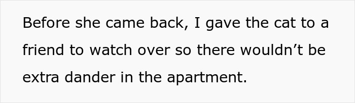 Person Gets Bashed By Cat-Allergic Ex-Roomie For Getting A Cat Before She Was Able To Gather The Rest Of Her Things