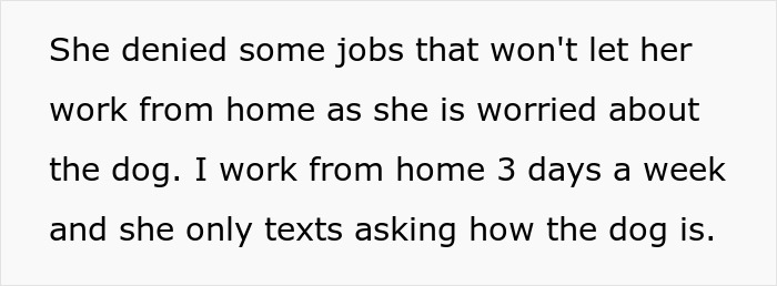 &ldquo;[Am I The Jerk] For Leaving The Engagement Dinner Due To My Fianc&eacute;e&rsquo;s Obsession With The Dog?&rdquo;