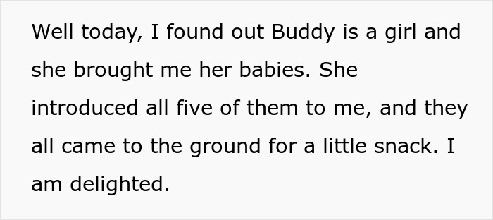 Woman Befriends Crow For Over 3 Years Until One Day She Brings Her Babies To Their Regular Hangout Woman Befriends Crow For Over 3 Years Until One Day She Brings Her Babies To Their Regular Hangout