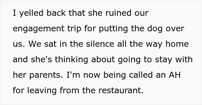 &ldquo;[Am I The Jerk] For Leaving The Engagement Dinner Due To My Fianc&eacute;e&rsquo;s Obsession With The Dog?&rdquo;
