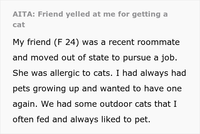 Person Gets Bashed By Cat-Allergic Ex-Roomie For Getting A Cat Before She Was Able To Gather The Rest Of Her Things