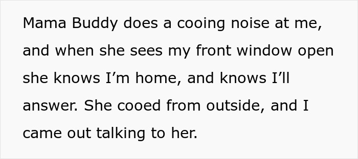 Woman Befriends Crow For Over 3 Years Until One Day She Brings Her Babies To Their Regular Hangout Woman Befriends Crow For Over 3 Years Until One Day She Brings Her Babies To Their Regular Hangout