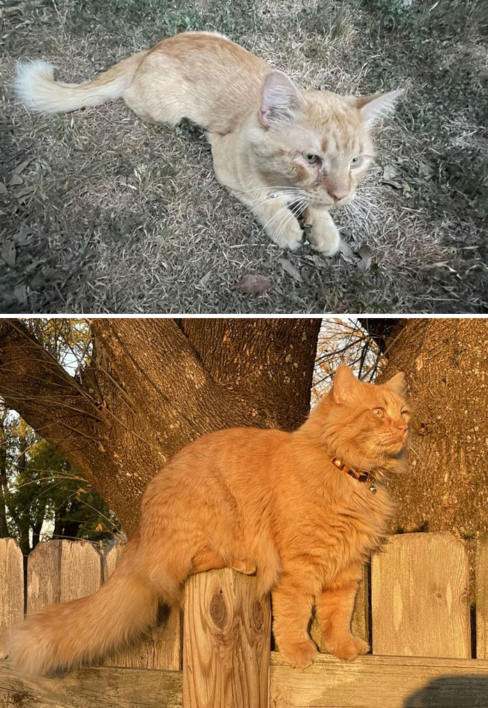 What A Difference A Loving Home Makes