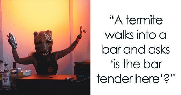 30 Jokes People Think Are Comedy Gold, As Shared In This Online Thread