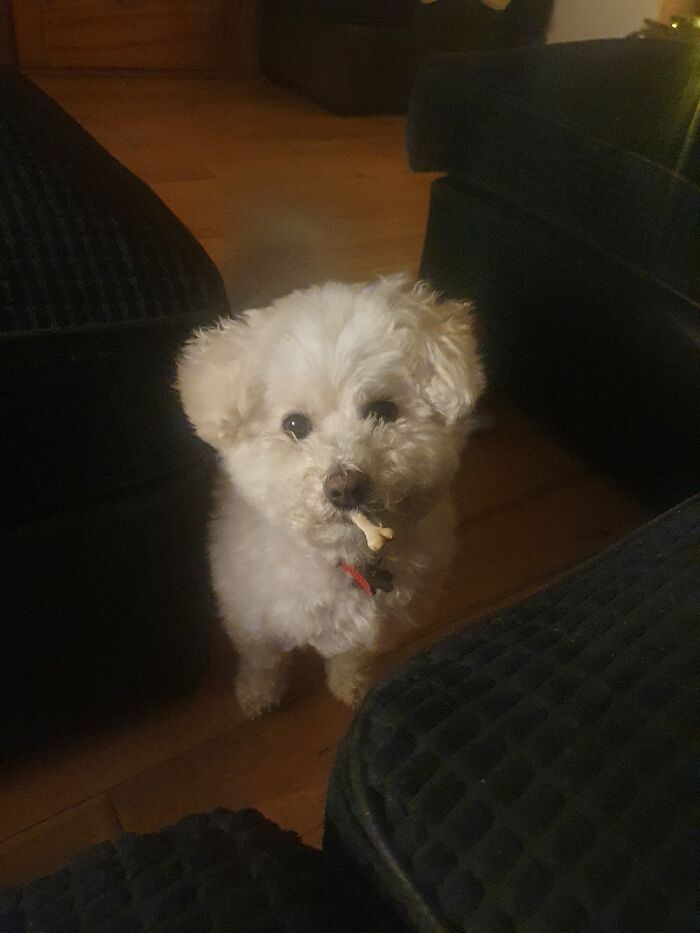 When You're Chancing Your Arm To Get Into The Club, Underage