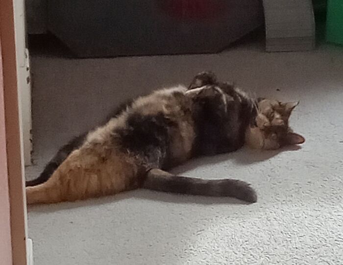 Paint Me Like One Of Your French Girls