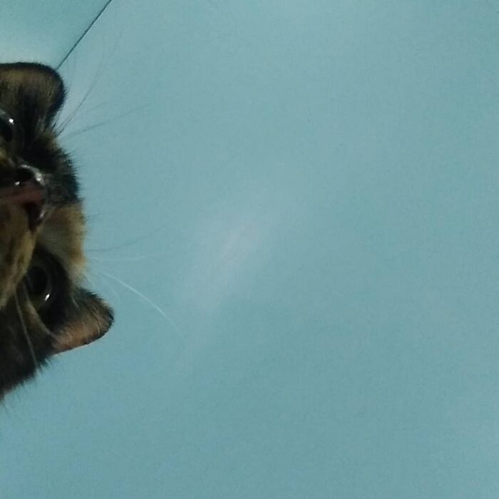 Nimitz, Calculating Trajectory