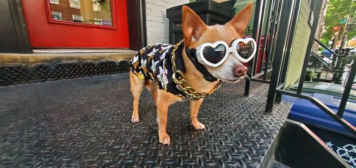 Frida Is A Fashion Legend, This Look Was Her Homage To Elton John And Elizabeth Taylor