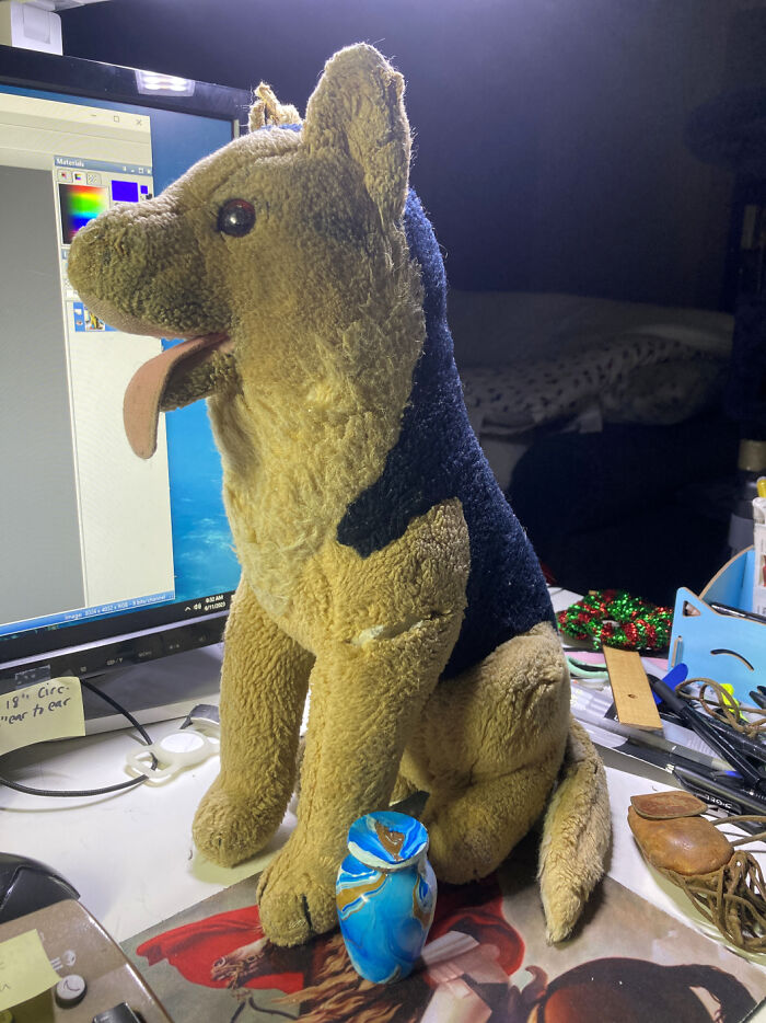 Where I'm Currently Living, It's A Toss-Up Between Chace (1986 Dakin German Shepherd Plushie I've Had Since I Was 5, I'm 41 Now) And My Dad's Ashes In The Little Blue-Gold Urn. (I Have The Rest Of His Ashes At Home And Only Have A Small Bit With Me Here.)