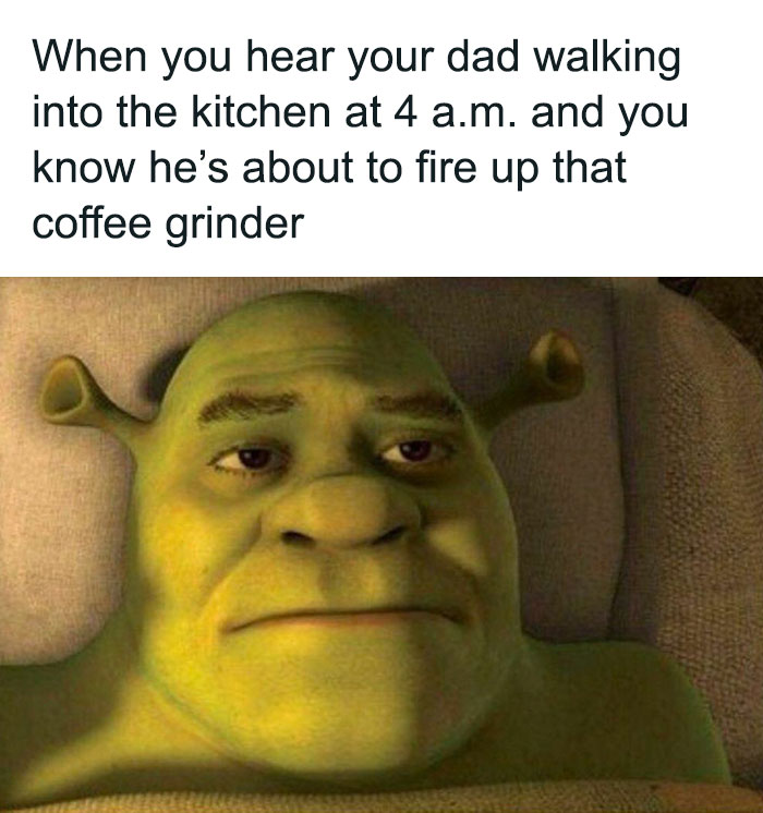 Shrek lying awake, reflecting on classic dad moves with a relatable meme caption about early kitchen noises.
