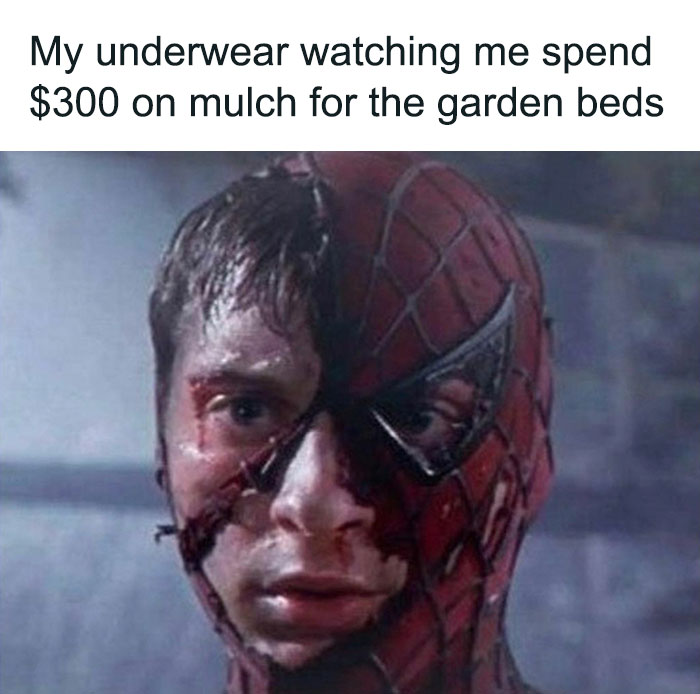Spiderman face depicting classic dad moves, captioned about spending $300 on garden mulch.