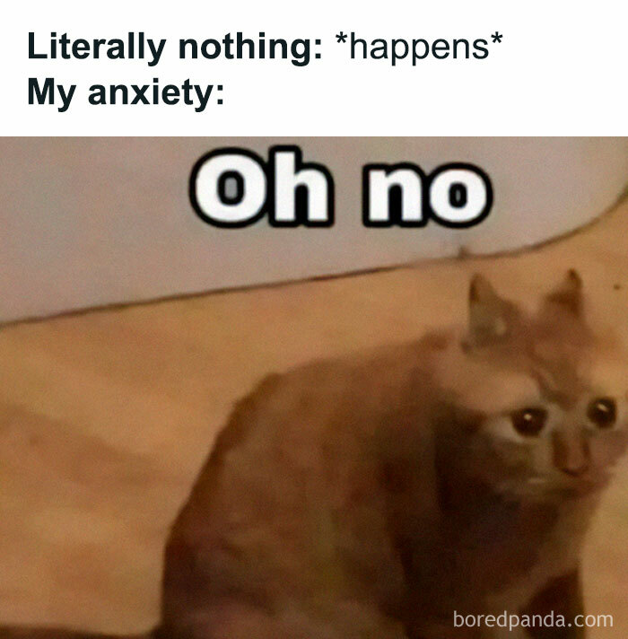 A funny meme featuring a worried-looking cat with the text "Literally nothing: *happens* My anxiety: Oh no."