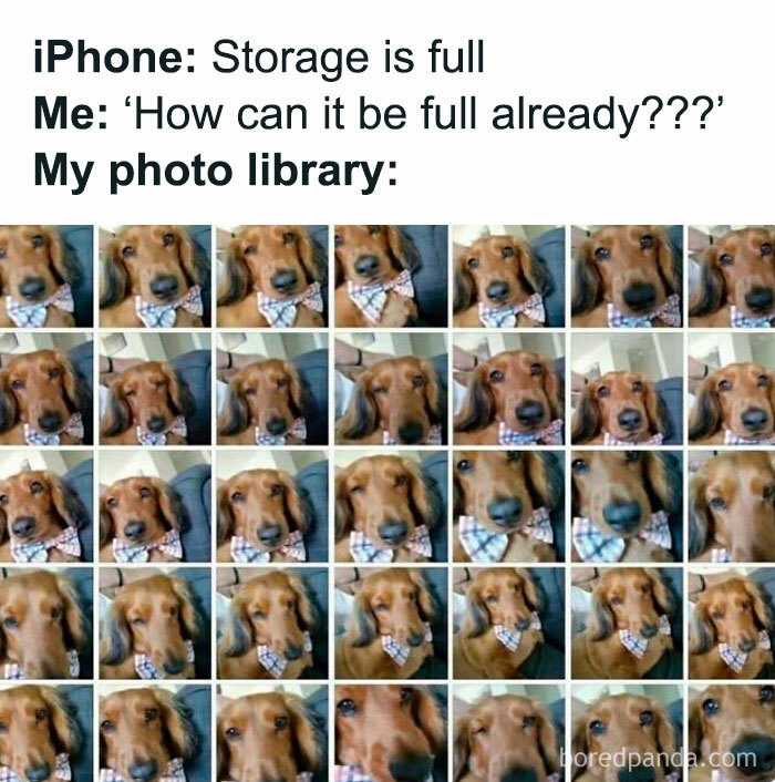 Funny meme of a dog wearing a bow tie repeated in a photo grid, humorously illustrating full iPhone storage.