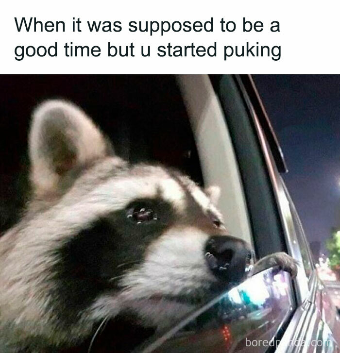 Classic-Funny-Memes-Jokes