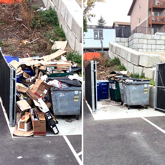 The Company Wouldn't Pick Up Unless Someone Sorted It. So I Did