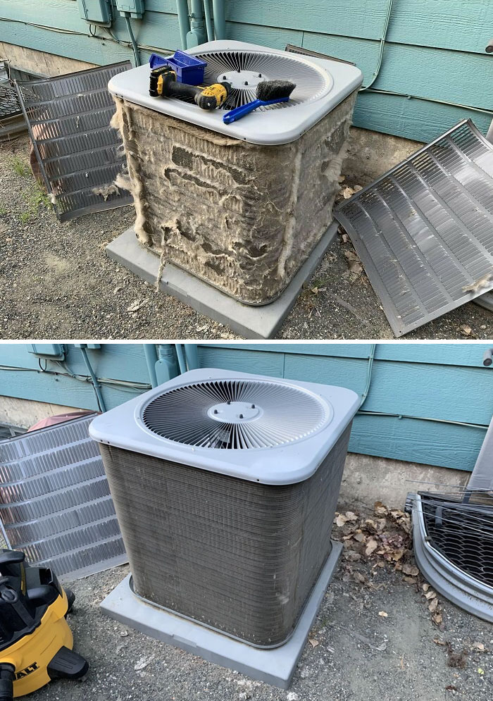 Gotta Love Those Cottonwood Trees (Before And After)