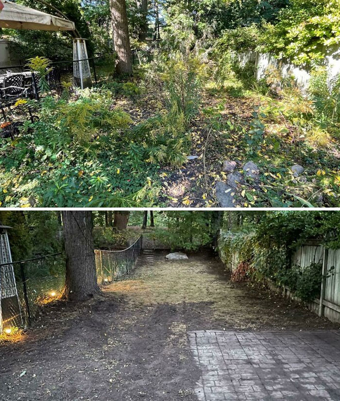 Just Finished Cleaning This Backyard Up