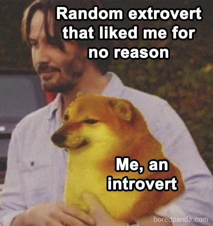 Man holding a Shiba Inu dog meme with text about introverts and extroverts in funny relatable introvert memes.