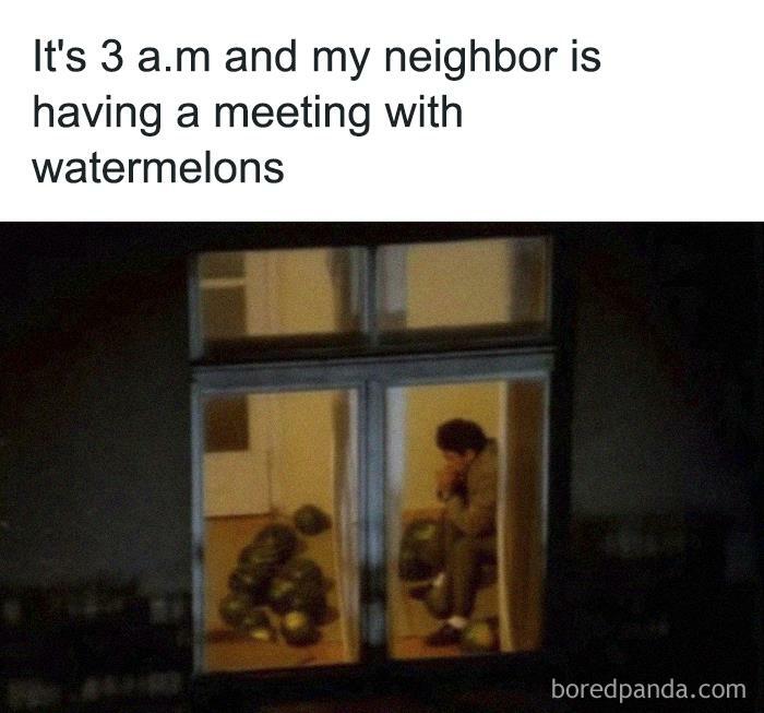 Person sitting quietly by a window at night with watermelons, funny and relatable introvert meme.