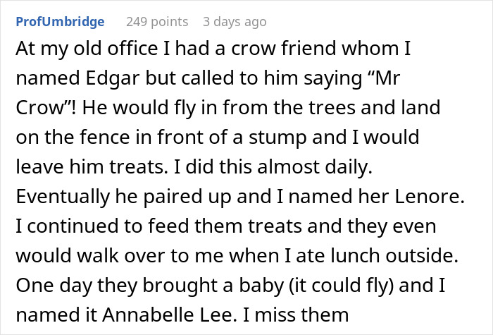 Woman Befriends Crow For Over 3 Years Until One Day She Brings Her Babies To Their Regular Hangout Woman Befriends Crow For Over 3 Years Until One Day She Brings Her Babies To Their Regular Hangout