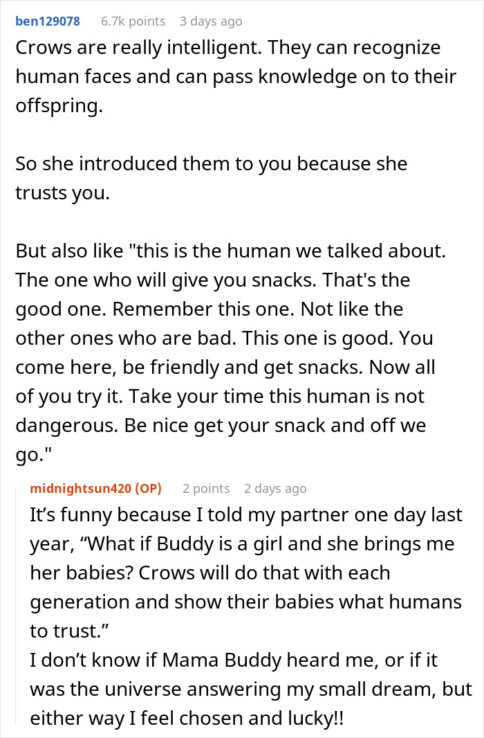 Woman Befriends Crow For Over 3 Years Until One Day She Brings Her Babies To Their Regular Hangout Woman Befriends Crow For Over 3 Years Until One Day She Brings Her Babies To Their Regular Hangout