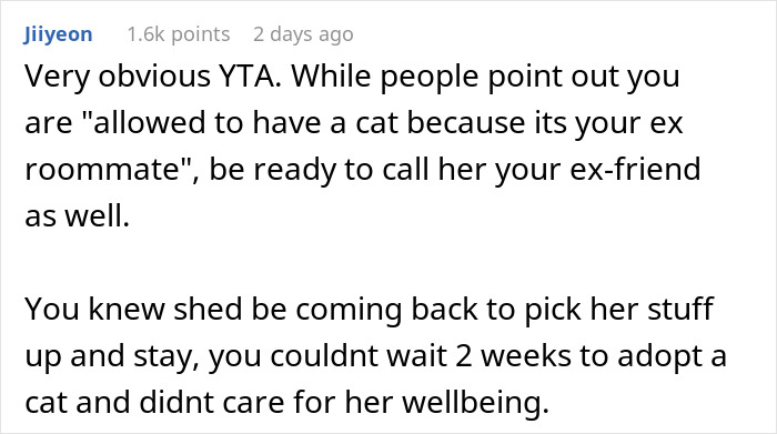 Person Gets Bashed By Cat-Allergic Ex-Roomie For Getting A Cat Before She Was Able To Gather The Rest Of Her Things