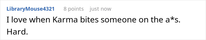 Karen Couple Bother Plane Passenger, Calling Them &ldquo;Too Fat&rdquo; For Their Own Seat, Get Served Karma Cake