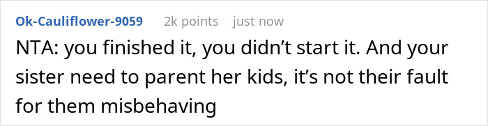 Video Footage Of Kids Misbehaving Ends Up Online After Their Mother Takes A Discussion Of Them Not Being Invited To Her Sister&rsquo;s 27th Birthday Party Online