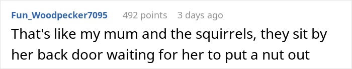 Woman Befriends Crow For Over 3 Years Until One Day She Brings Her Babies To Their Regular Hangout Woman Befriends Crow For Over 3 Years Until One Day She Brings Her Babies To Their Regular Hangout