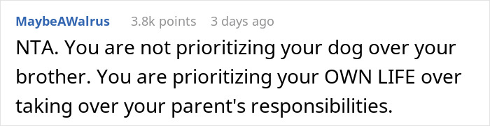"They Said I Needed To Get Rid Of Bradley": Parents Freak Out After Their Adult Child Gets A Dog, Because Their Younger Son Is Allergic