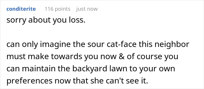 Man Finds A Way To Get Back At &lsquo;Karen&rsquo; Neighbor Who Was Micromanaging How He Takes Care Of His Backyard As She Was Using It As Her &ldquo;Virtual&rdquo; Backyard