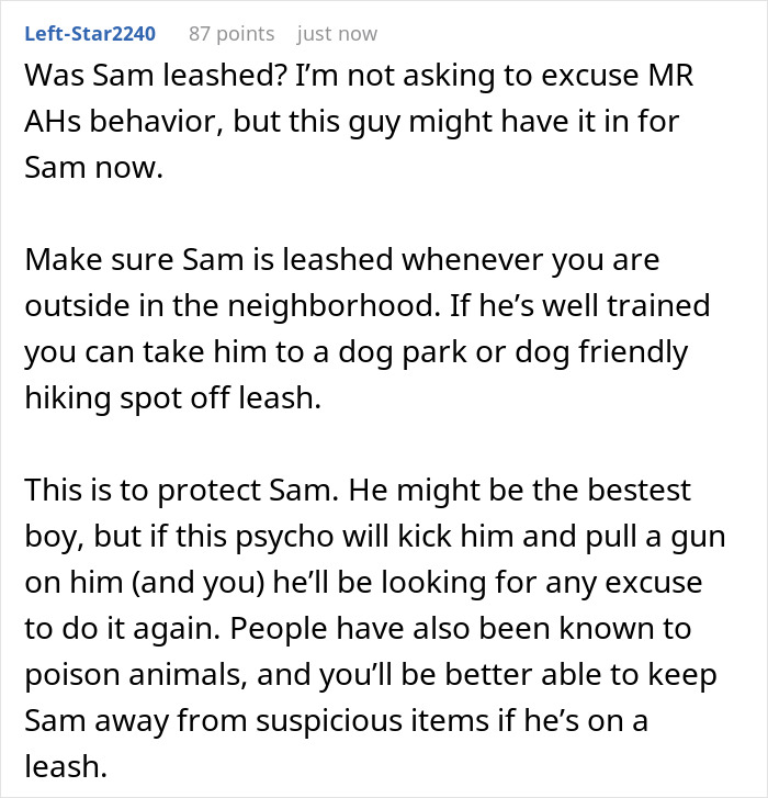 Person&rsquo;s Daily Walk With Their Golden Retriever Gets Clouded After Running Into An &ldquo;Off-Putting&rdquo; Neighbor Who Pointed A Gun At The Dog