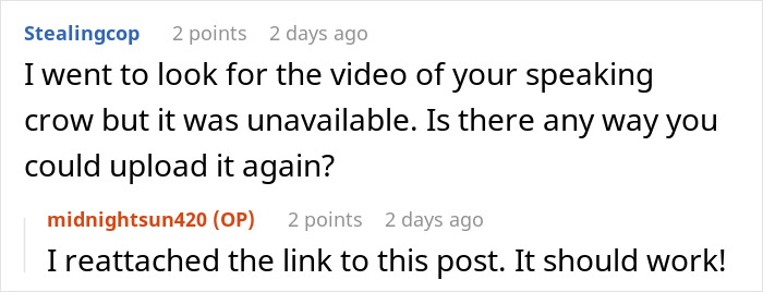 Woman Befriends Crow For Over 3 Years Until One Day She Brings Her Babies To Their Regular Hangout Woman Befriends Crow For Over 3 Years Until One Day She Brings Her Babies To Their Regular Hangout