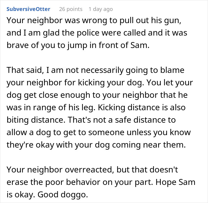 Person&rsquo;s Daily Walk With Their Golden Retriever Gets Clouded After Running Into An &ldquo;Off-Putting&rdquo; Neighbor Who Pointed A Gun At The Dog