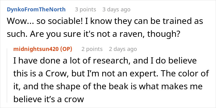 Woman Befriends Crow For Over 3 Years Until One Day She Brings Her Babies To Their Regular Hangout Woman Befriends Crow For Over 3 Years Until One Day She Brings Her Babies To Their Regular Hangout