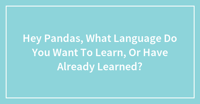 Hey Pandas, What Language Do You Want To Learn, Or Have Already Learned? (Closed)