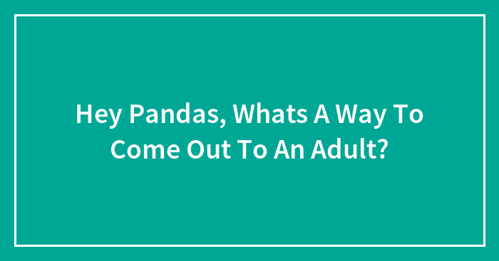 Hey Pandas, Whats A Way To Come Out To An Adult?
