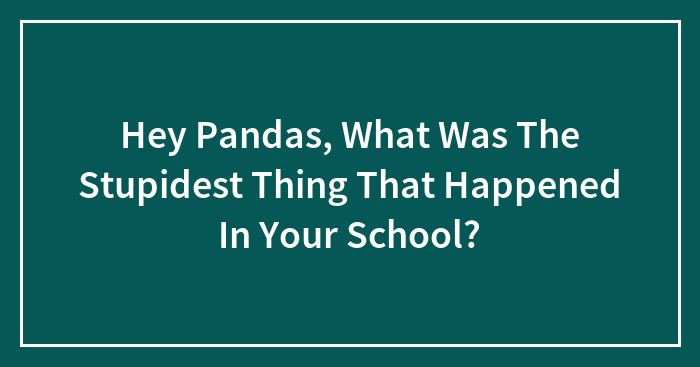 Hey Pandas, What Was The Stupidest Thing That Happened In Your School?