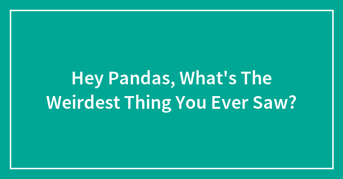 Hey Pandas, What’s The Weirdest Thing You Ever Saw?