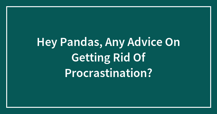 Hey Pandas, Any Advice On Getting Rid Of Procrastination? (Closed)