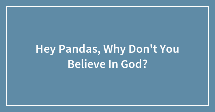Hey Pandas, Why Don’t You Believe In God?
