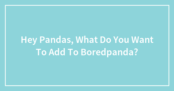 Hey Pandas, What Do You Want To Add To Boredpanda?