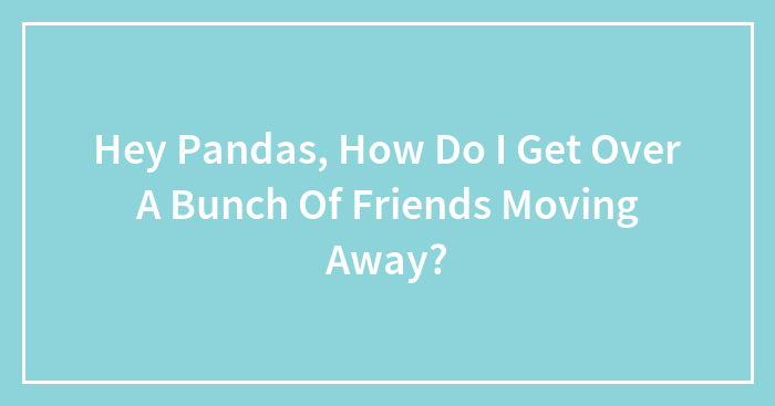 Hey Pandas, How Do I Get Over A Bunch Of Friends Moving Away?