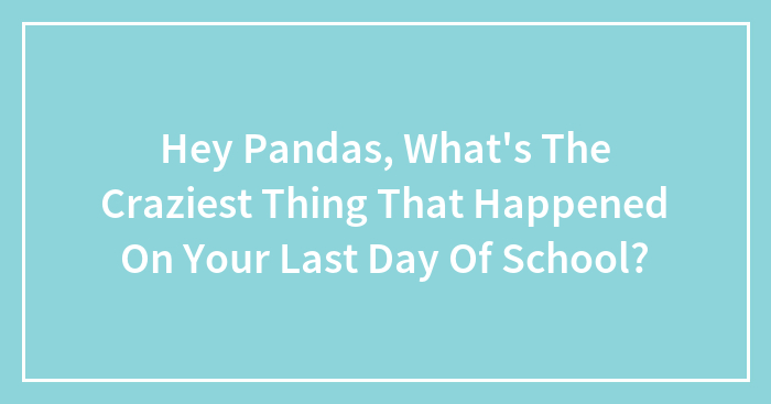 Hey Pandas, What’s The Craziest Thing That Happened On Your Last Day Of School?