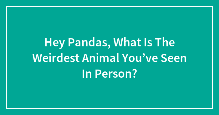 Hey Pandas, What Is The Weirdest Animal You’ve Seen In Person? (Closed)