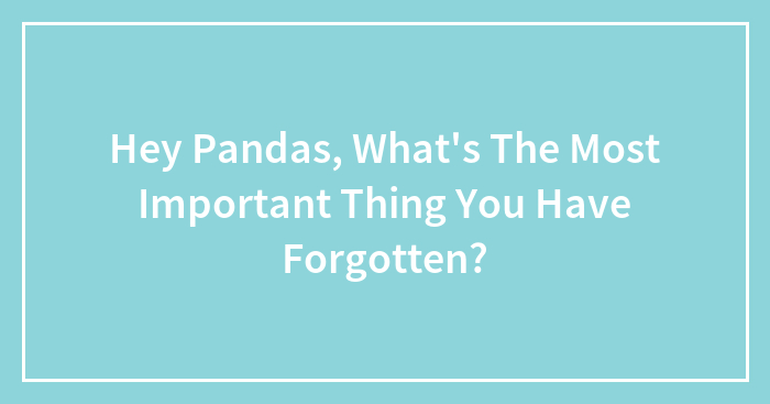 Hey Pandas, What’s The Most Important Thing You Have Forgotten? (Closed)