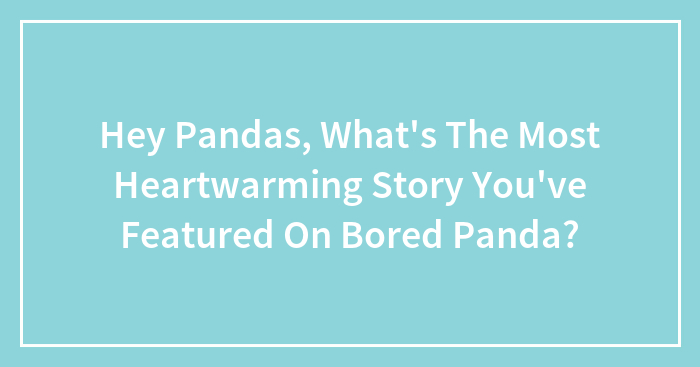 Hey Pandas, What’s The Most Heartwarming Story You’ve Featured On Bored Panda? (Closed)