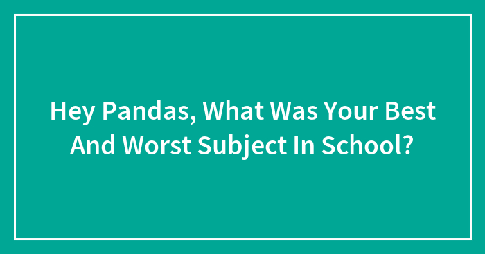 Hey Pandas, What Was Your Best And Worst Subject In School? (Closed)
